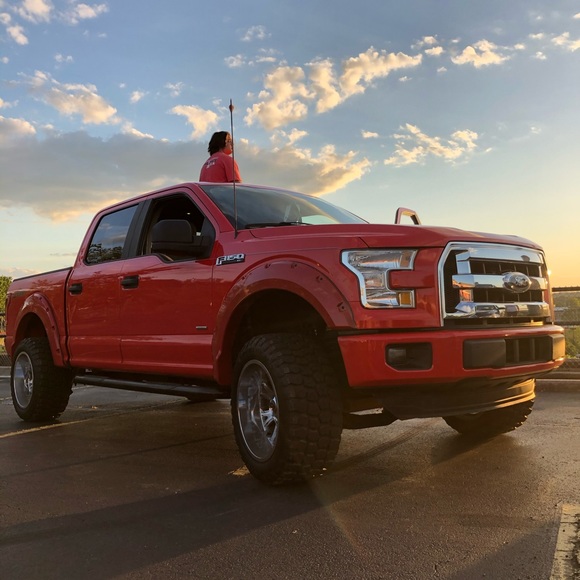 Meet your Posher, Dylan - Picture 1 of 1